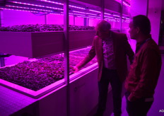 Gastheer Gerrit van Gelder geeft Franky van Looveren tekst en uitleg bij de meerlagenteelt in samenwerking met PlantLab boven op de bovenste verdieping van het pand van Van Gelder groente en fruit.